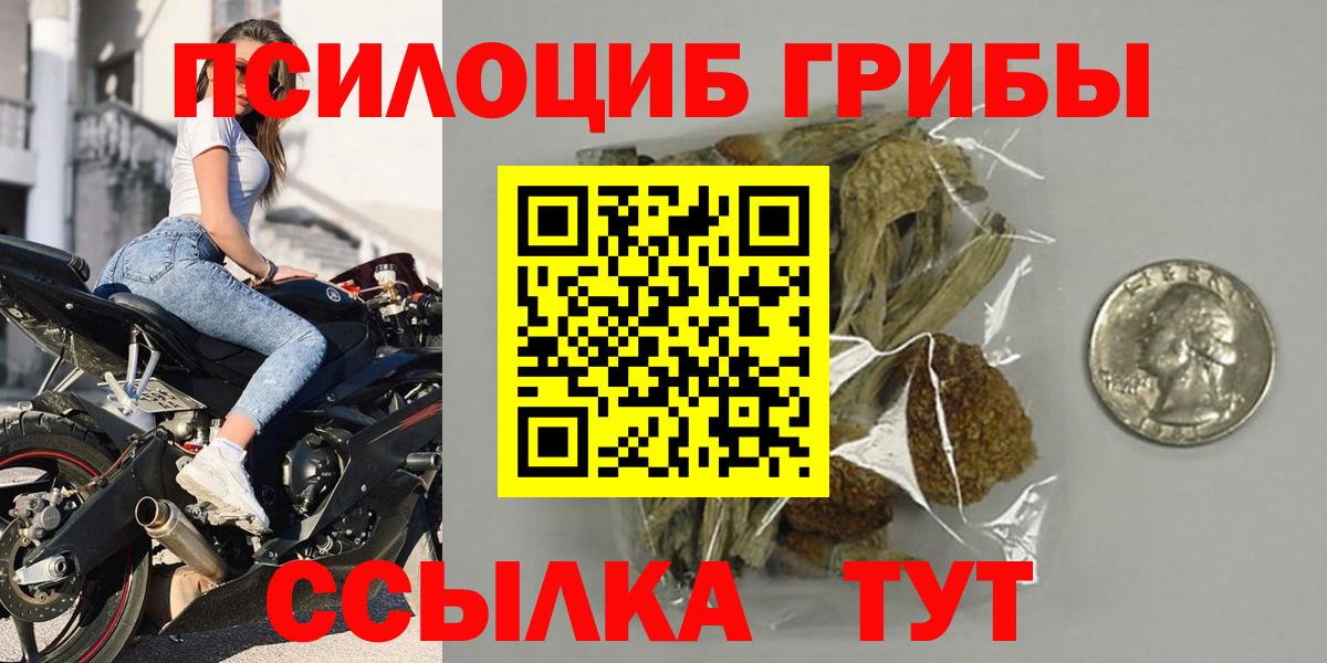 Галлюциногенные грибы Cubensis Нижний Тагил
