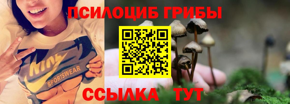 Нижний Тагил  Псилоцибиновые грибы Psilocybine cubensis  Вход с VPN  Галлюциногенные грибы GOLDEN TEACHER 
